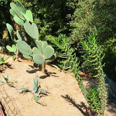Villa La Serena
